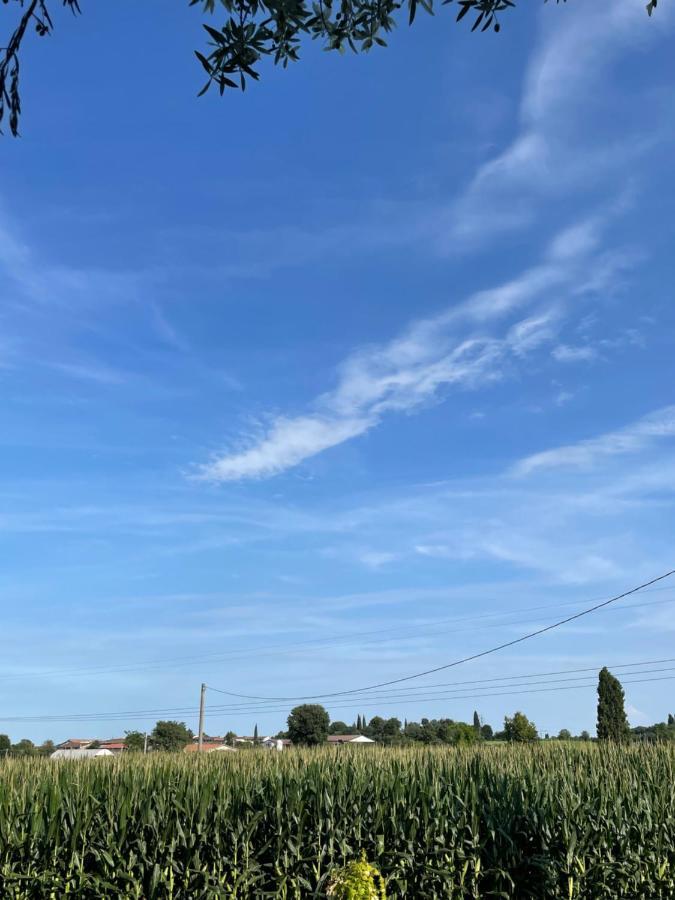 B&B Il Melograno Monzambano Zewnętrze zdjęcie