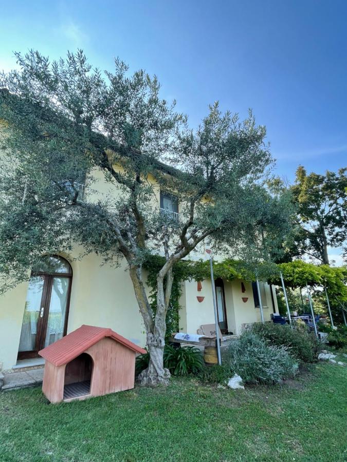B&B Il Melograno Monzambano Zewnętrze zdjęcie